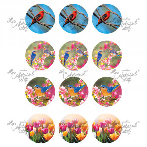 Захарна паста с печат Spring Spring Model 1, 12 декорации Ø 6 cm, A4 - Сладкарски изделия