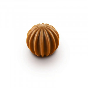 3D Silicon Praline mould Ø 2.7 x H 2.5 cm, 8 ml, 14 cavities (SCG060) - Img 3