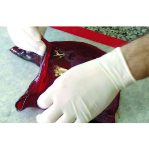 Baking-Freezing silicone mats, 52x31.5cm - Img 4