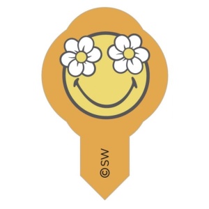 Decor in Vafa - Smiley 10 models H 5.5 cm - 600 pcs - Img 10