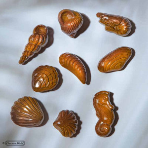 Polycarbonate mould Sea Creatures 22 Chocolate Pralines 4 - 6.5 gr - Img 2