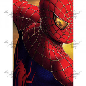 Printed waffle SpiderMan Model 5, A4 - Confectioner Istet