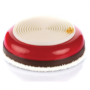 Silicon mould TOP / Tourbillon insert 100 Ø 14 x H 0.9 cm, 2 cavities - Img 5
