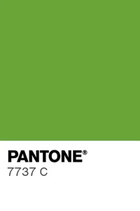 SPRAY VELVET Silk – Green Food Colouring Pantone 7737 C, 400 ml