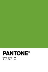 SPRAY VELVET Silk- Colorant Alimentar Verde Pantone 7737 C, 400 ml