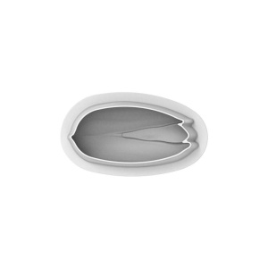 Пистахио 19 x 9,4 x H 7,2 cm - 3D силиконова форма за торта, 750 ml + резец - Img 2