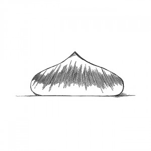 Aluna/Nuca Coconut 3D Coconut, Ø18xH7cm - Silicon Tort 3D Grolet shape - Img 3