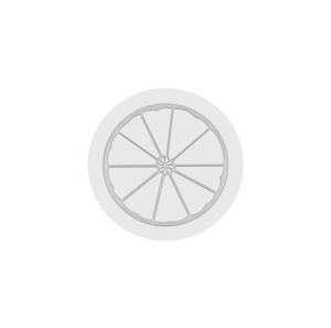 Forma Silicon Tort 3D Lamaie / Citrice Ø 17 x H 4.5 cm + Forma silicon Top + decupator, 940 ml - Img 3