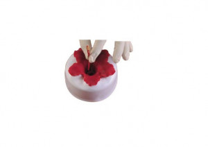 Hibiscus - Suporturi Plastic Formare si Uscare Floare Ø 11.5 x H 5.5 cm, Set 4 Buc - Img 2
