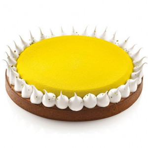 Pie Set Ø 23 cm, 1 Microperforated Branch + Silicon Tin - Img 3