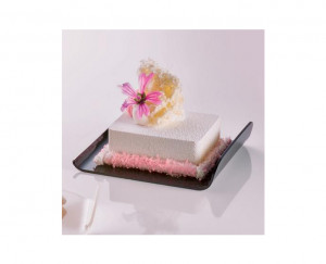 Plastic Base Presentation Single Portion Presentation, Transparent Rectangular Model, 9.7 x 8 x H 2 cm, Set 100 pcs - Img 2