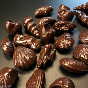 Polycarbonate mould Sea Creatures 22 Chocolate Pralines 4 - 6.5 gr - Img 3