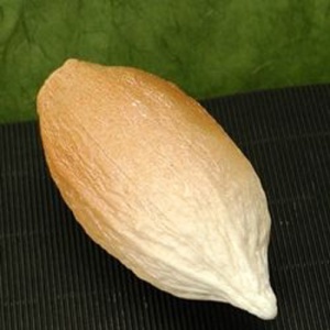 Silicone mould Cocoa Fruit (Cabossa) Large 3D, 18.5 cm