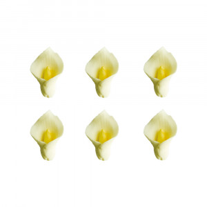 Sugar Decor - Cove R 3.5 cm, 6 pcs - Img 1