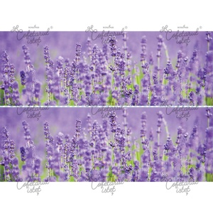 Vafa imprimata Flori Model 3 - 2 Decoruri Laterale Tort 10 x 28 cm, A4 - Cofetarul Istet