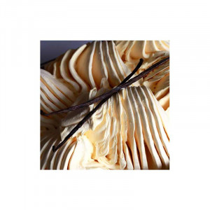 Vanilla Madagascar Bourbon Joypaste Joypaste Madagascar Bourbon Flavouring Paste Irca 1.2 Kg - Img 2