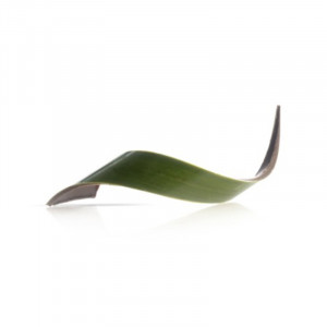 Двойни шоколадови декорации Twist Green, 8,4 x 2 x 3 cm, 140 g, 80 бр. - Img 1