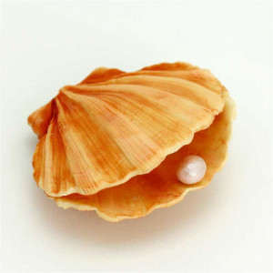 Силиконова форма Decor Marin - Черупка Ø 11 cm - Img 2