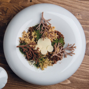 Силиконова форма Gourmand Branches 7,8 x 4,8 x H 0,2 cm, 10 кухини - Img 1