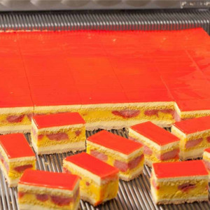 Grila Taiere, Latime Portionare 5 cm, pentru Chitara Taiere Orizontala Pavoni - Img 2