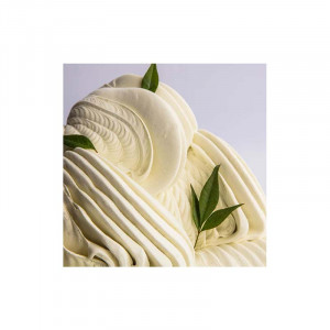 Joyapaste Mint Flavouring Paste Irca 1.2 Kg - Img 2