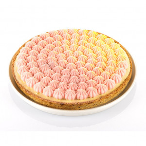 Set Meringue Tarte Meringue Ø 25 cm, 1 Microperforated Branch + Silicon Tin - Img 7