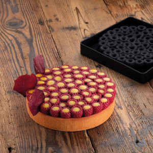 Silicon mould TOP Scarlet Ø 18 x H 2.6 cm, 1 cavity, 440 ml - Img 1