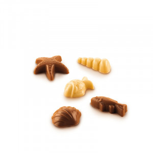 Silicone mould Praline Praline Subjects Marine 3.5 x 3.2 x H 1.6 cm, 12 cavities (SCG059) - Img 1