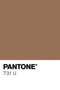 SPRAY VELVET Silk – Хранителен оцветител „Млечен шоколад“ Pantone 731 U, 400 мл - Img 2