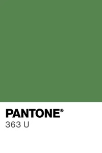 SPRAY VELVET Silk – Élelmiszer-színezék, zöld, Pantone 363 U, 400 ml - Img 2