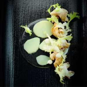Силиконова форма Gourmand Small Disc Gourmand Силиконова форма Ø 9 x H 0,35 cm, 11 кухини - Img 1