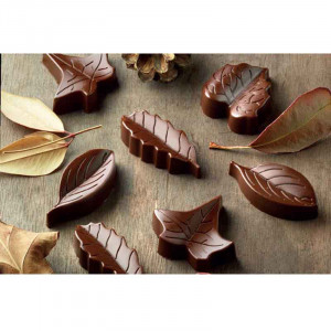 Силиконова форма Silikomart Praline Nature 5,1 x 2,3 x H 1,45 cm, 10 ml, 8 кухини (SCG10) - Img 2