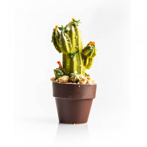 Dark Chocolate Baskets Large Pot Flower Pot Double Flowers, Ø 6.2 x H 5.5 cm, 840 gr, 28 pcs - Img 3