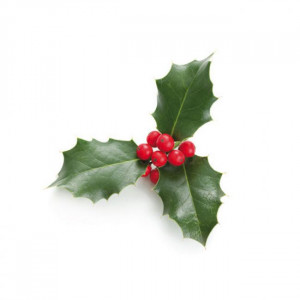 Frunze Ilex - Rozsdamentes acél vágó és szilikon formázó szerszámok Ø 3,5 és 5 cm, 6 db-os készletben - Img 2