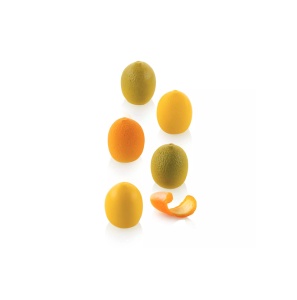 Lemon/Citrus, Ø 3 x H 3.5 cm – Monoportii silicone mould, 18 cavities x 17 ml