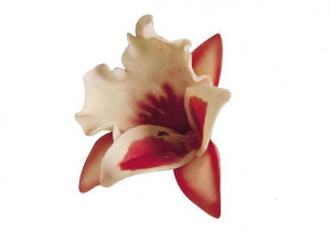 Orchid Pan - Plastic Cutters Ø 5.7 - 9.6 cm, Set of 3 pcs - Img 2