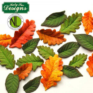 Silicon Mulch Oak Leaves and Blackberry Leaves 5 Subjects 5.8 - 3.5 x 3.2 - 2 cm - Img 3