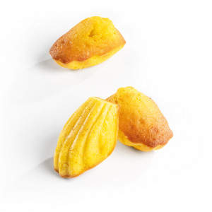 Silicone mould Madeleine Monoportii 7.4 x 4.5 x H 1.8 cm, 44 cavities - Img 1
