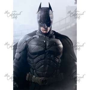 Batman printed waffle Batman Model 5, A4 - Confectioner Istet