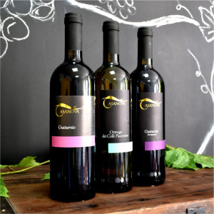 Bor Casanova Gutturnio Superiore Vörös Demisec - Cantine Ceci - 0.75 L - Img 2
