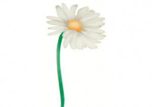 *Daisies Airbrush Daisies, 2 sizes