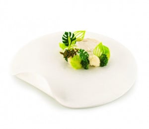 Forma Silicon Silikomart NaturaE Frunze 4 modele 4 x 2.5 x H 2 cm - 4 x 4.9 x H 2 cm, 1 ml, 68 cavitati - Img 4