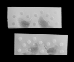 Mulaj Silicon Pasare Mica 3D, 4.2 x H 2.7 cm, 2 Subiecte - Img 2