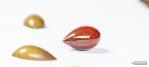 Polikarbonát forma Frank Haasnoot Praliné csokoládé praliné, 16 üreg, 4.55 x 2.5 x H 1.25 cm, 10 gr, 10 gr. - Img 2