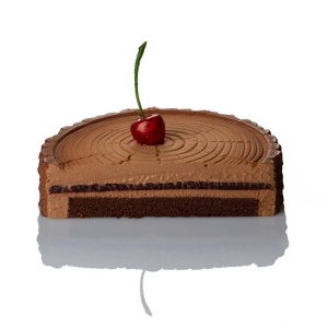 Silicon Cake Tin 3D Forest Ø 18.5 x H 4.5 cm, 1000 ml - Img 2
