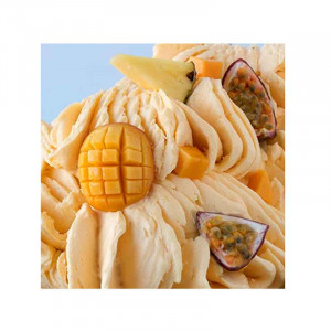 Tropical Joypaste Flavouring Paste Tropical Joypaste Irca 1.2 Kg - Img 2