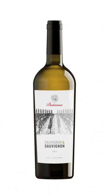 Budurească Sauvignon & Sauvignon Sec