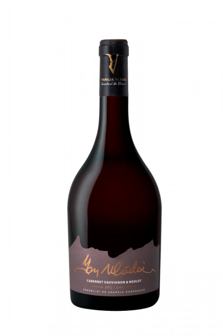 Domeniul Vlădoi – Ion Vlădoi Cabernet Sauvignon &amp; Merlot Sec