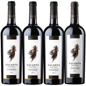 Crama Gîrboiu Bacanta Verticală Barrique Merlot Sec