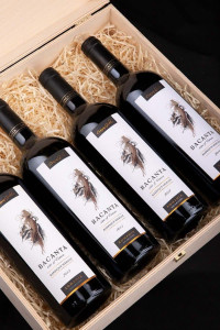 Crama Gîrboiu Bacanta Verticală Barrique Merlot Sec - Img 2